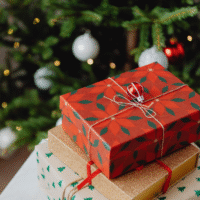 What a Swell Christmas Present!